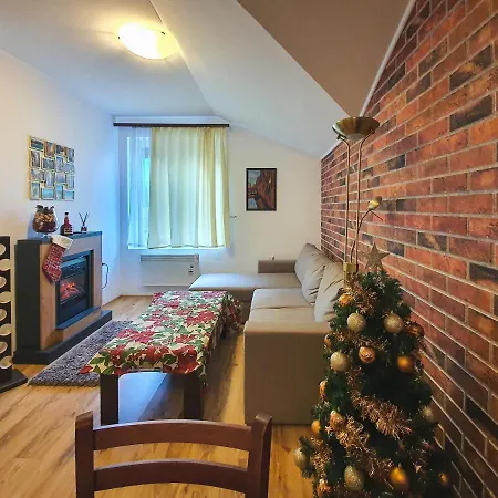 Banski Apartment *